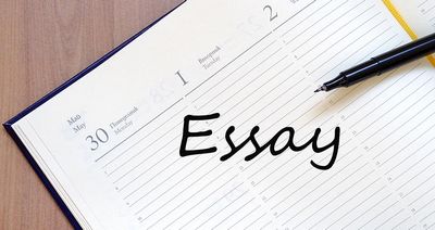  Best Essay Tips & Guide  beautiful, you should